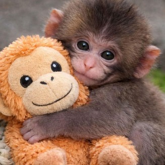 Foto de _Deep_Silence_