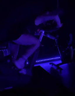 AmyLee