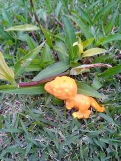 Foto de andarilho