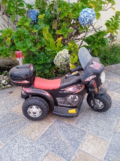 Foto de andarilho