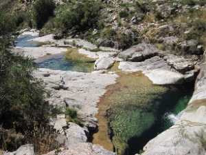 aquinomeucanto