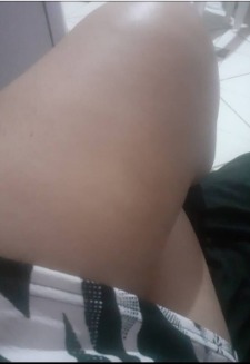 Bela_Gata