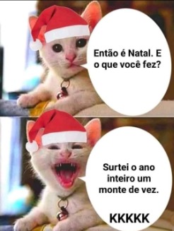 bonito_gato