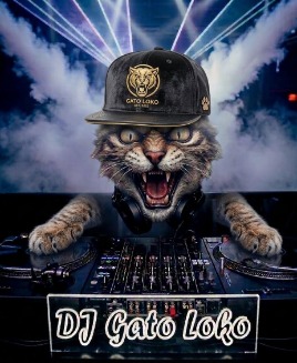 bonito_gato