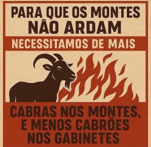 CaLorina