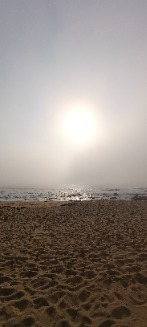 CaLorina
