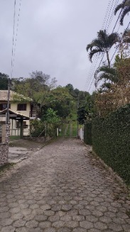 chamarita