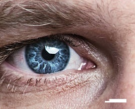 Foto de Desaparecido