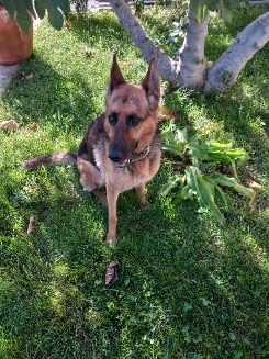 Foto de eduu