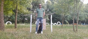 Fenomeno