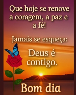 Fernanda_SP