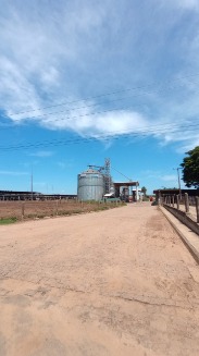 Fernanda_SP