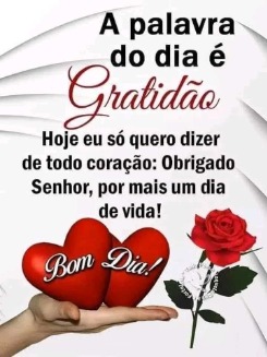 Membro Fernanda_SP