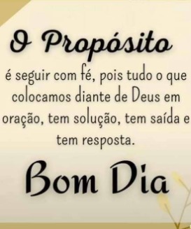 Membro Fernanda_SP