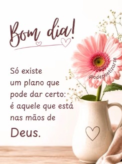 Foto de Fernanda_SP