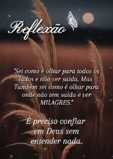 Membro Fernanda_SP