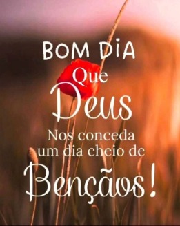 Foto de Fernanda_SP