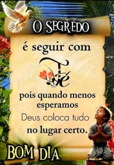 Membro Fernanda_SP