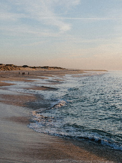 Galvarino