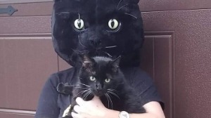 GATOabandonado