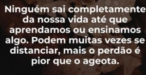 gatoo
