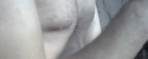 gatoo