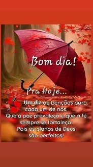 Perfil de guridosul