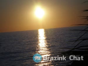 Heidi