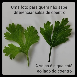 irri_tado