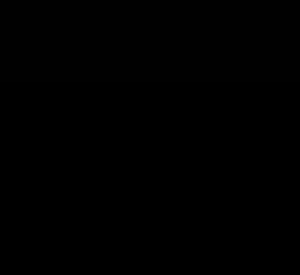 Julia_27