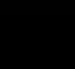 Julia_27