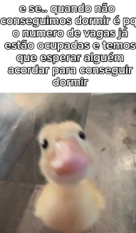 LK