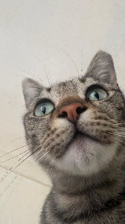 Foto de Luena
