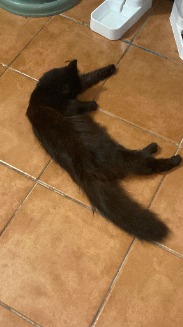 Foto de Luena