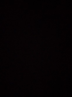 matt_