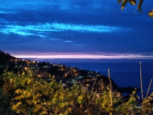 Foto de Milu