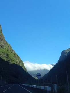Foto de Milu