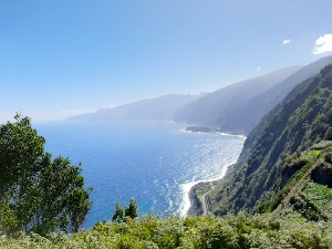 Foto de Milu