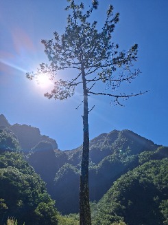 Foto de Milu