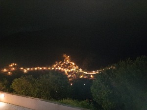 Milu