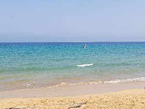 Milu