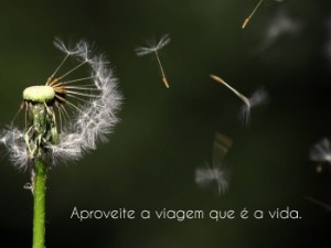 Milu