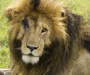 nothinghill