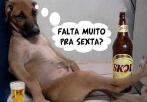 OMalokeiro