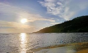 Pantera
