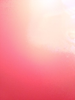 PirokaGrossaCabecudaRS