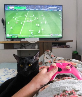 Raphael_21