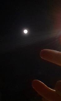 RebelMoon