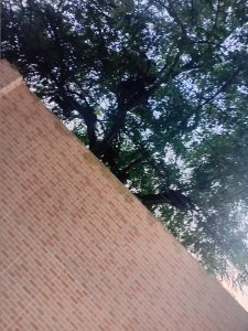 SANDYBAiANACASADA