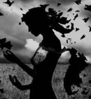 ShadowAngel